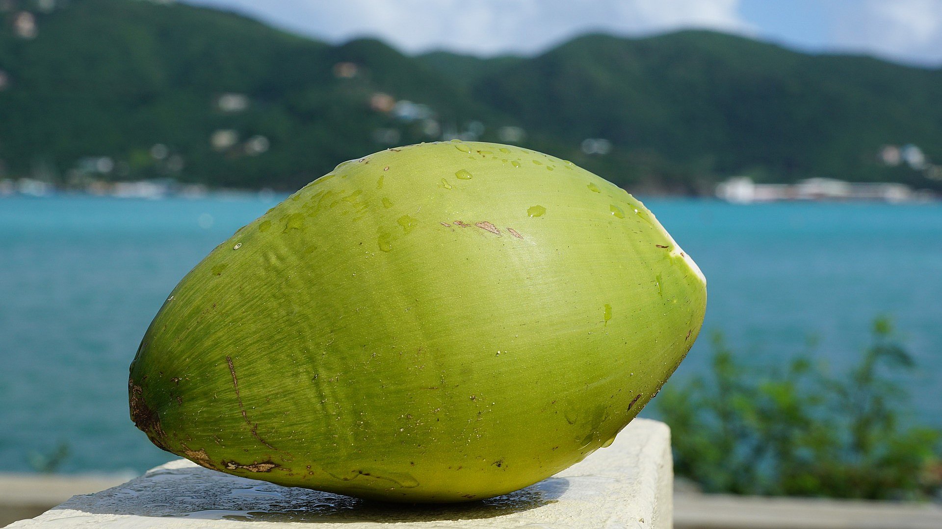 British Virgin Islands