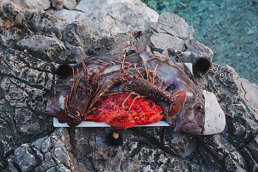 Best restaurants to visit at Croatia on 2022 (vol:2)